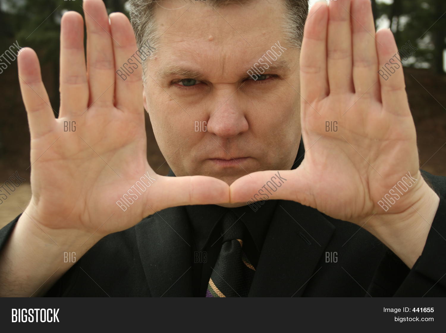 Image Preview