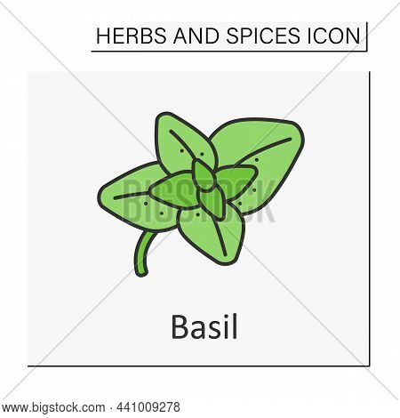 Basil Color Icon. Strong-smelling And Strong-tasting Herb For Cooking. Additional Flavor For Food. H