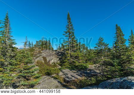 Landscape With Forest In Ontario, Pukaskwa National Park. Canada.