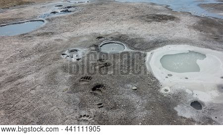 There Are Hot Springs In The Geothermal Zone Of The Extinct Volcano Crater. There Are Sulfur Deposit
