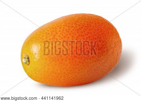 Single Ripe Kumquat Isolated On A White Background