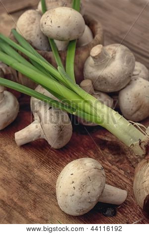 I funghi sono alimenti sani.Vegetarismo