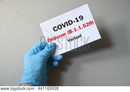 Doctor's Hand In Blue Glove With White Paper And Text Covid-19 Omicron Variant. Concept Of Medical V