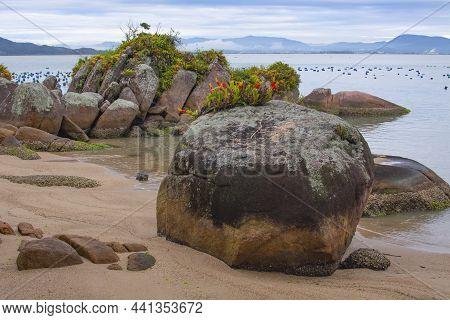 Beautiful Landscape In Governador Celso Ramos, Welcome Beach, Santa Catarina, Brazil