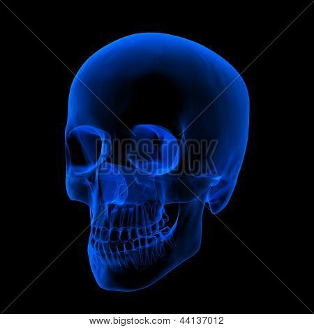 XRAY di cranio umano / Head