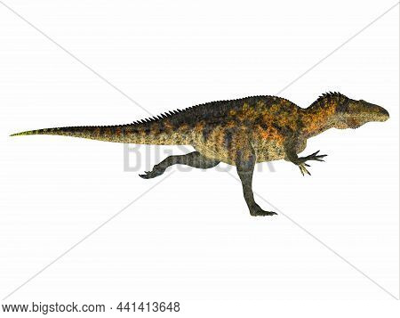 Acrocanthosaurus Dinosaur Running 3d Illustration - Acrocanthosaurus Was A Carnivorous Theropod Dino