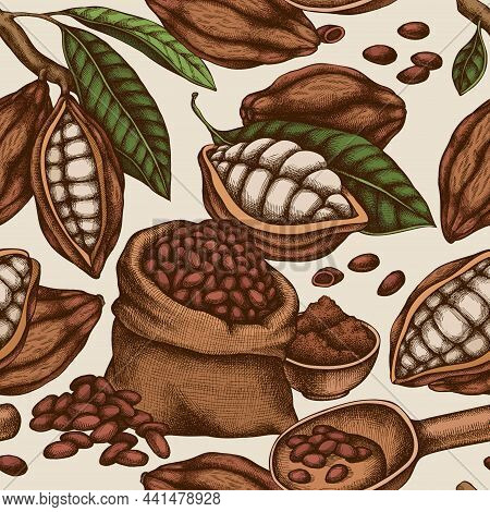 Seamless Pattern With Hand Drawn Colored Cocoa Beans, Cocoa Stock Illustration
