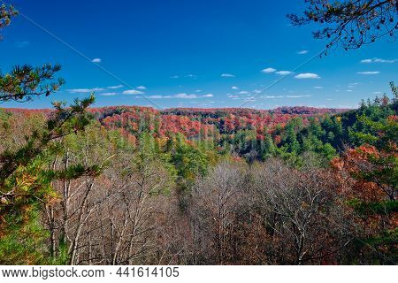 Fall Colors Along The Silvermine Arch Trail At Red River Gorge, Ky.