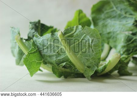 Capsicum Leaves Without Capsicum Kept For A Concept Shoot
