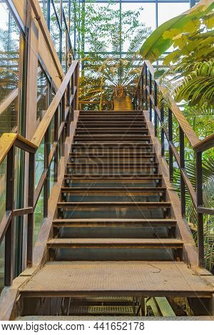 Inside A Tropical Greenhouse. Botanical Garden Of Moscow State University, Russia