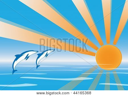 dolphins jumping at sunset