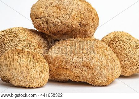 Dried Lions Mane Mushrooms Or Hericium Erinaceus Also Called Bearded Tooth Fungus, Monkey Head Mushr
