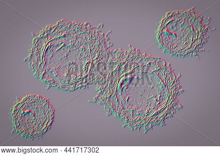 Cancer Cells, 3D Illustration