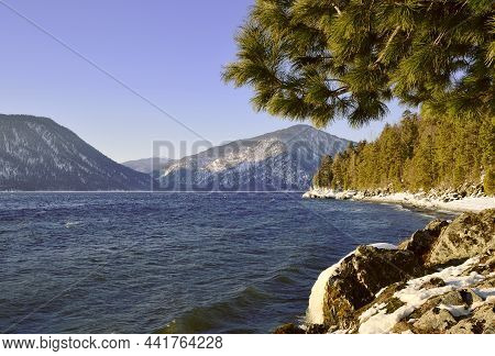 Snow On The Rocks On The Shore Of Lake Teletskoye, Which Does Not Freeze In Winter. Waves, Pine Bran