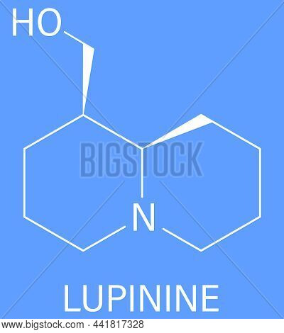Lupinine Lupin Alkaloid Molecule. Skeletal Formula. Chemical Structure
