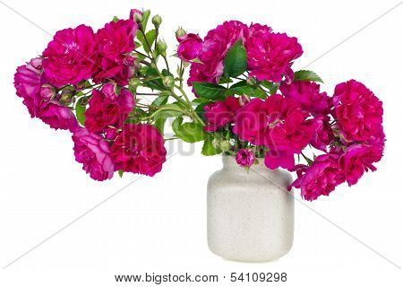 Minimalistic Floral Pink Composition