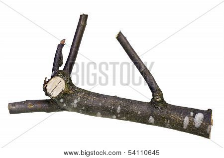 Swimming Log
