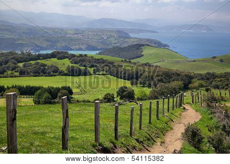 Green Fields On Biscay Coast Near Gorliz, Basque Country, Spain