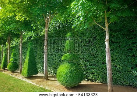 Topiary