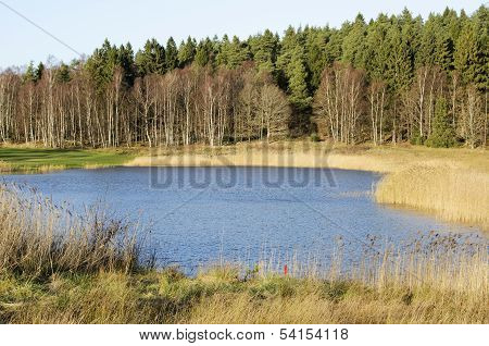 Little lake