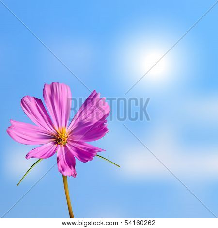 Flower background
