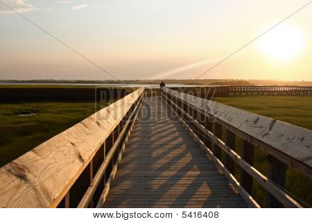 Boardwalk sopra Marsh