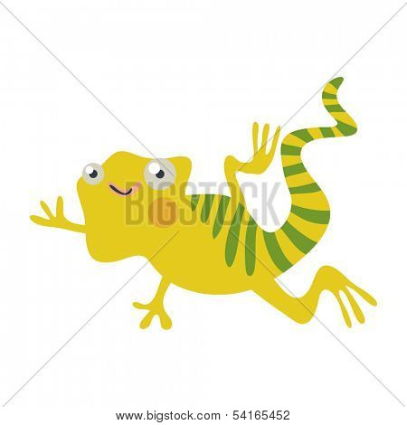 iguana