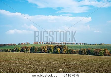 Autumn Landscape