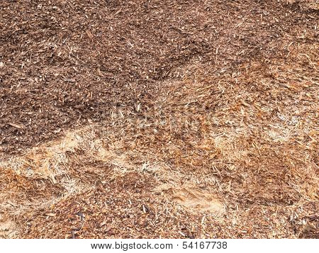 Wood Chips