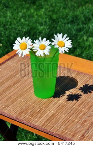 Daisies สาม