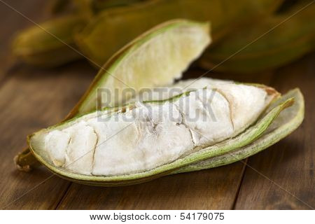 Peruvian Fruit Called Pacay