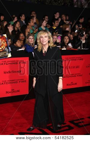 LOS ANGELES - NOV 18:  Amanda Plummer at the The Hunger Games:  Catching Fire Premiere at Nokia Theater on November 18, 2013 in Los Angeles, CA