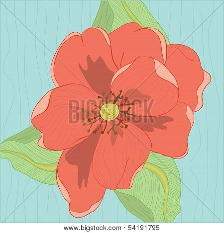 Red Oleander Flower