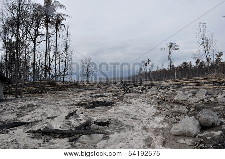 Area Damaged by Disaster