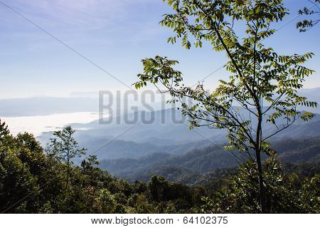 Sea Of Mist With Doi Luang Chiang Dao, View Form Doi Dam In Wianghaeng Chiangmai Thailand