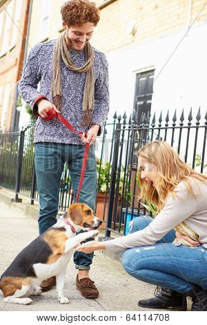 Couple Taking Dog For Walk On City Street