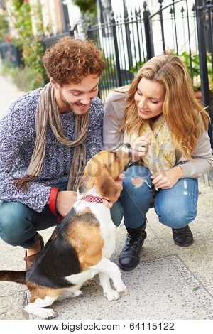 Couple Taking Dog For Walk On City Street