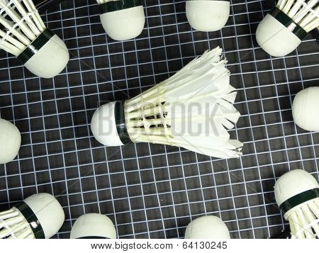shuttlecocks on a badminton racket