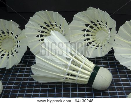 shuttlecocks on a badminton racket
