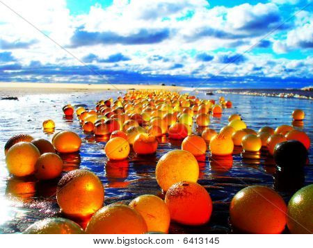 Sea munat