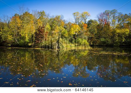 Fall Reflections On The Delaware And Raritan Canal