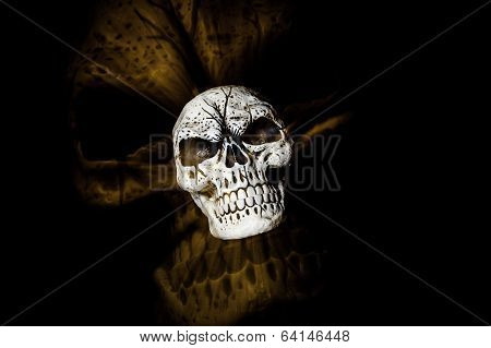 Ghost Skull
