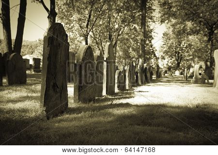 Old Cemeteries - Row Of Tombstones