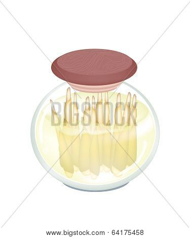 Delicious Preserved Bamboo Shoot In A Jar
