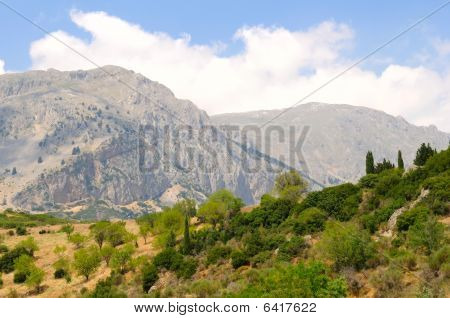 Parnassus