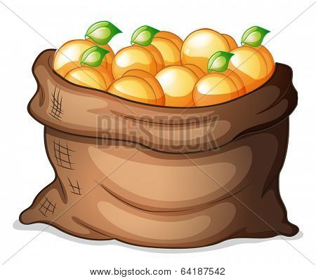 Illustration of a sack of oranges on a white background