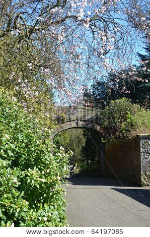 Dunfermline Park