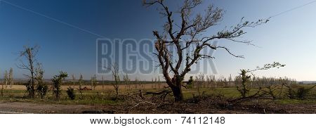 Ukrainian Armored Vehicles Destroyed