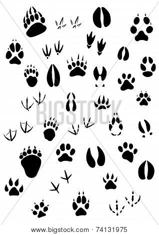 Animal footpints set