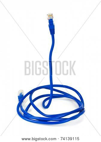 Computer cable like a snake - internet security concept isolated on white background